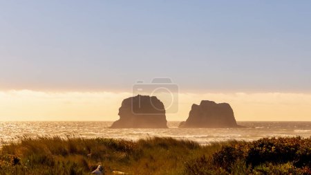 Téléchargez les photos : Scenic landscape of Twin rocks along Oregon Pacific coast USA, during twilight. - en image libre de droit