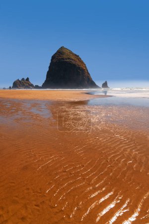 Téléchargez les photos : Haystack rock and wavy sand in wet beach at Pacific coast in Oregon state, USA. - en image libre de droit