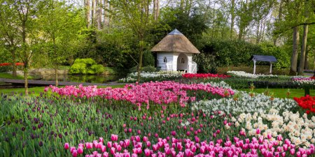 Panoramic view of scenic Keukenhof gardens in Lisse, Netherlands with bright flower display.