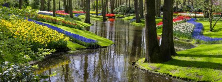 Panoramic view of scenic Keukenhof gardens in Lisse, Netherlands with bright flower display.