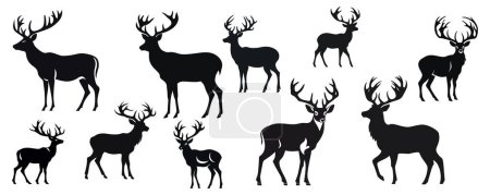 Conjunto de siluetas de ciervo salvaje en estilo plano aislado sobre fondo blanco. Ilustración vectorial