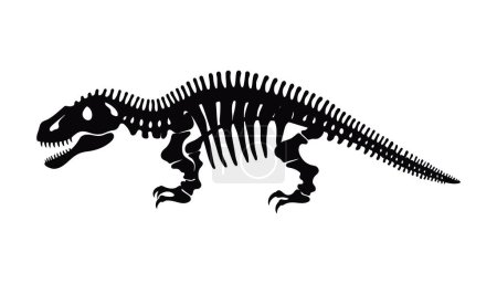 Illustration for Tyrannosaurus dinosaur skeleton. Bones of prehistoric creatures isolated monochrome. Vector illustration - Royalty Free Image