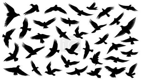 Ensemble de silhouettes d'oiseaux volants dans un style plat sur fond blanc. Illustration vectorielle