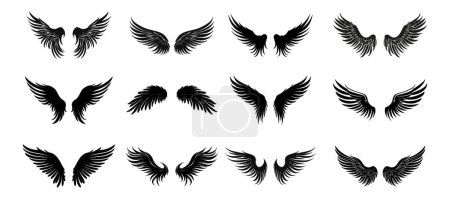 Photo for Set of black wings icons. Badges with wings. Collection badges with wings in flat style. Vector illustration - Royalty Free Image