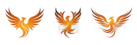 Photo for Set Phoenix Rings Wings logo. Falcon Eagle Hawk bird logo icon. Vector illustration - Royalty Free Image