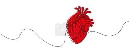 Photo for Human heart drawn with a line. Vector illustration. - Royalty Free Image