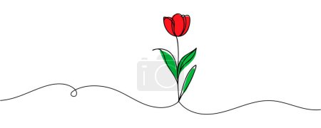 Die Tulpe wird in einer durchgehenden Linie gezeichnet