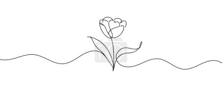 Die Tulpe wird in einer durchgehenden Linie gezeichnet