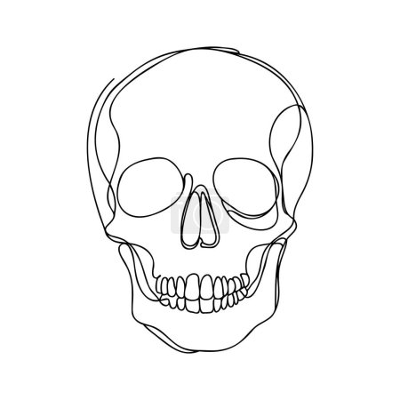 Human scull. One line continuous Halloween skull isolated on white background. Line art outline vector illustration.