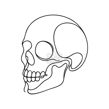 Scull humain. Une ligne crâne Halloween continu isolé sur fond blanc. Illustration vectorielle de contour d'art linéaire.