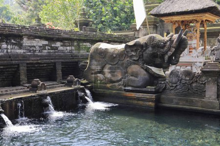 Pool holy water in Pura Tirta Empul Temple in Bali, Indonesia
