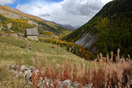 Photo for The hamlet Le Villard located along the Cristillan valley above Ceillac village, Queyras Regional Natural Park, Southern Alps, France, with a traditional wooden chalet and Autumn colors - Royalty Free Image