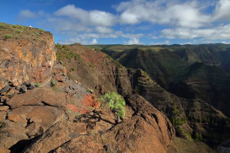 Photo for The impressive plunging cliffs of the Valle Gran Rey, La Gomera, Canary Islands, Spain. Picture taken from a panoramic hiking trail from Arure to La Merica and Valle Gran Rey - Royalty Free Image