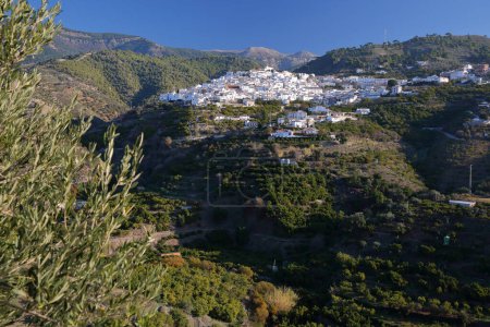 Blick auf das Dorf Canillas de Albaida, Axarquia, Provinz Málaga, Andalusien, Spanien, mit weiß getünchten Häusern und umgeben von Bergen und Bäumen