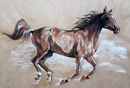 Foto de Correr caballo dibujo arte ilustración sepia lápiz - Imagen libre de derechos