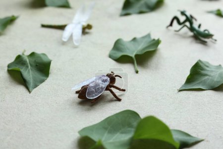 Green leaves and toy insect on old paper background. Flat lay.