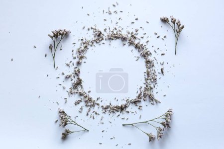 Téléchargez les photos : Cadre de fleurs séchées sur fond blanc. plan, vue du dessus, espace de copie. - en image libre de droit