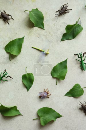 Feuilles vertes et insecte jouet sur fond vieux papier. Pose plate.