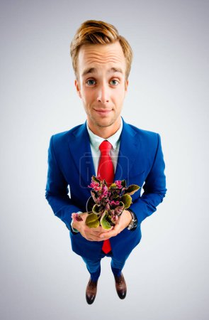 Porträt eines lustigen jungen Geschäftsmannes mit Brille, blauem Anzug und roter Krawatte, Blumentopf mit Blumen in der Hand, Aufnahme aus der Vogelperspektive, vor grauem Hintergrund. Geschäftskonzept.