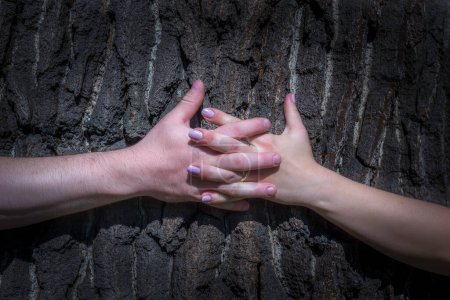 Téléchargez les photos : Des mains d'homme et de femme serrées sur un arbre - en image libre de droit