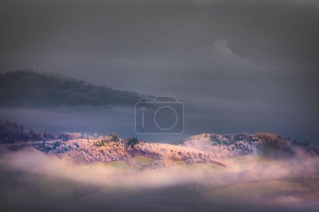 Téléchargez les photos : Vue du matin sur le paysage vallonné éveillé de la fin de l'automne - en image libre de droit