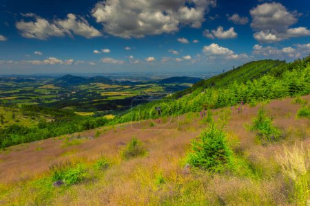 Téléchargez les photos : Vue d'été sur le paysage Beskydy en République tchèque - en image libre de droit
