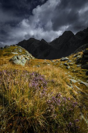Téléchargez les photos : Vue du paysage alpin de montagne depuis l'Autriche - en image libre de droit