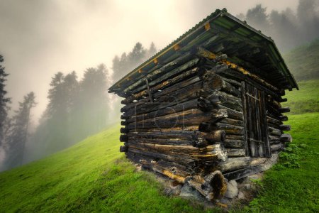 Téléchargez les photos : Foin de montagne en bois dans les Alpes Stubai avec brouillard en arrière-plan - en image libre de droit
