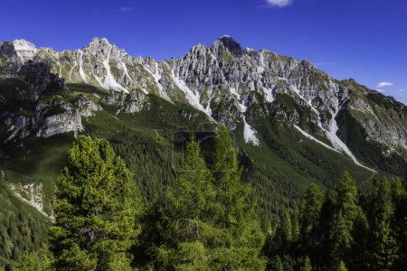 Téléchargez les photos : Vue du paysage alpin de montagne depuis l'Autriche par une journée ensoleillée - en image libre de droit