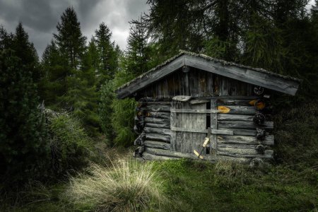 Téléchargez les photos : Une vieille cabane de montagne dans les Alpes Stubai avec des arbres environnants - en image libre de droit