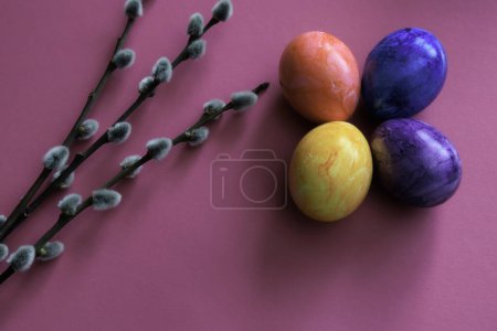 Téléchargez les photos : Oeufs de Pâques de différentes couleurs sur un fond coloré avec des brindilles - en image libre de droit