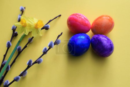 Téléchargez les photos : Oeufs de Pâques de différentes couleurs sur un fond coloré avec des fleurs - en image libre de droit