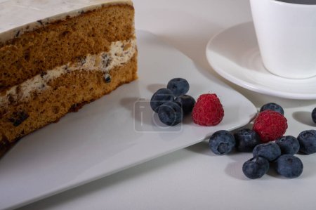 Foto de Pastel de miel, pastel sobre un fondo claro, lugar para la inscripción. Deliciosos pasteles, cocina - Imagen libre de derechos