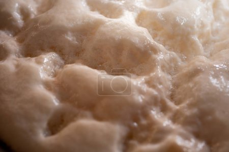 Foto de Fondo, masa de levadura en la masa, infusión, proceso de fermentación - Imagen libre de derechos