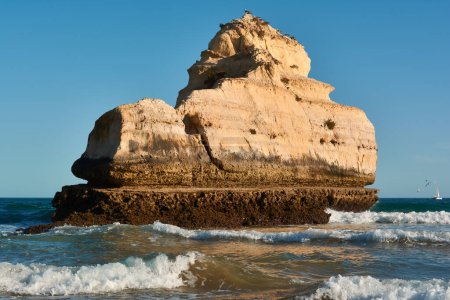 Foto de Roca caliza bañada por olas oceánicas con gaviotas en la parte superior. Praia dos Tres Castelos, Portugal - Imagen libre de derechos