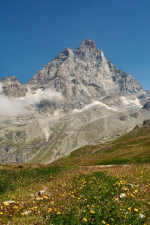 Téléchargez les photos : La face sud du Cervin avec des pissenlits alpins au premier plan. Breuil-Cervinia, Italie - en image libre de droit