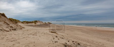 holmsland dünen neben hvide sande in dänemark hat 40 km sandstrände. Holmsland Dünen ist der Inbegriff von Stränden, Dünen, Sonne, Wind und vor allem sauberer Luft. Westjütland, Dänemark.