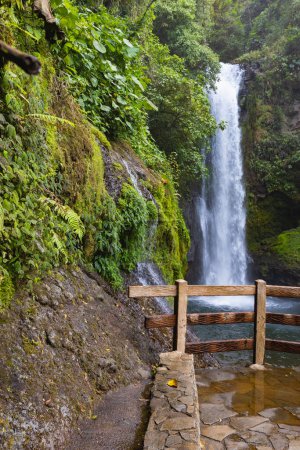 Wasserfall im La Paz Waterfall Gardens Naturpark, Alajuela, Provinz Alajuela, Costa Rica
