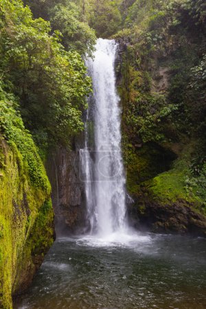 Waterfall in La Paz Waterfall Gardens Nature Park, Alajuela, Alajuela Province, Costa Rica
