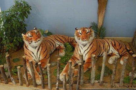 Téléchargez les photos : Tête de poupée Tiger décoration - en image libre de droit
