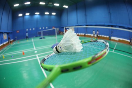 Téléchargez les photos : Navette à plumes blanches Badminton sur le terrain - en image libre de droit