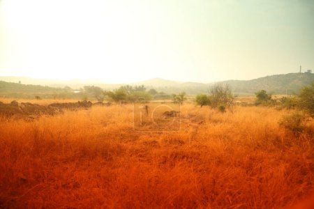 Zona rural India