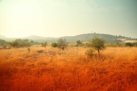 Zona rural India