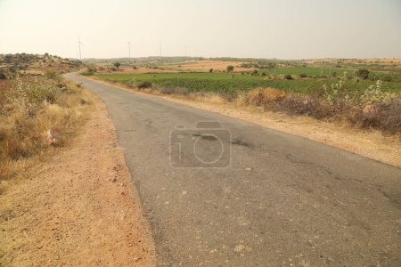 Zona rural Alquitrán Carretera y árboles India