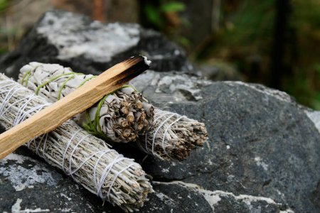 Photo for An image of burning holy wood used in spiritual healing and energy clearing practices. - Royalty Free Image