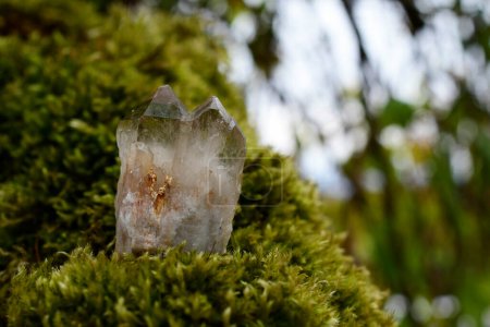 Foto de Una imagen de cerca de un cristal de cuarzo ahumado acabado doble en un pedazo de musgo verde grueso. - Imagen libre de derechos