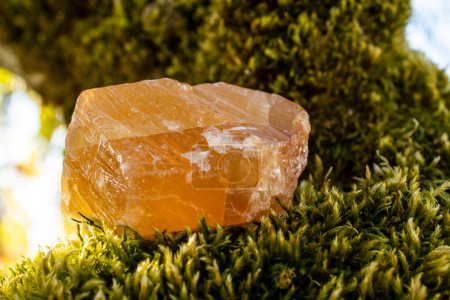 Foto de Una imagen de cerca de un gran cristal de calcita de miel descansando de musgo verde grueso. - Imagen libre de derechos