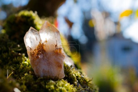 Photo for A close up image of a double terminated clear quartz crystal on a bed of lush green moss. - Royalty Free Image