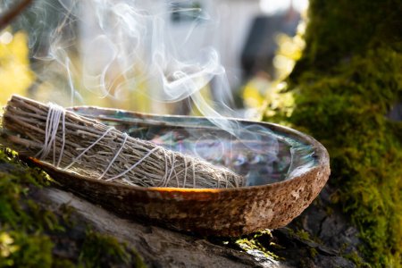 Téléchargez les photos : A close up image of a burning white sage smudge stick and abalone shell resting on a tree branch. - en image libre de droit