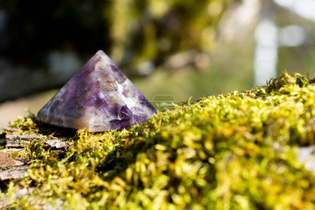 Una imagen de cerca de una pirámide de cristal de amatista en un grueso parche verde de musgo.